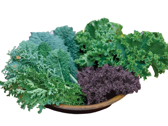 Locally Grown Mixed Kale