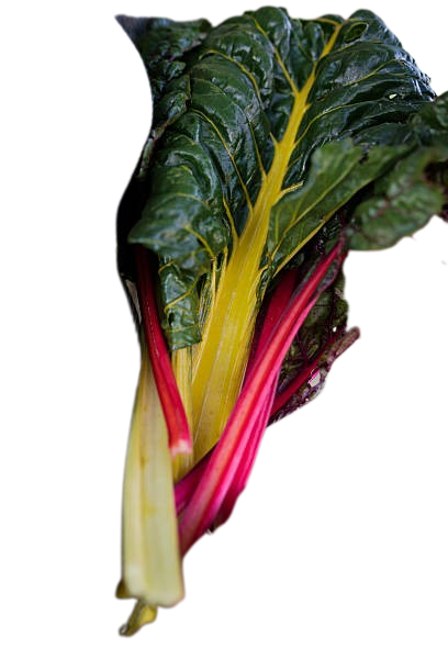 Locally Grown Swiss Chard