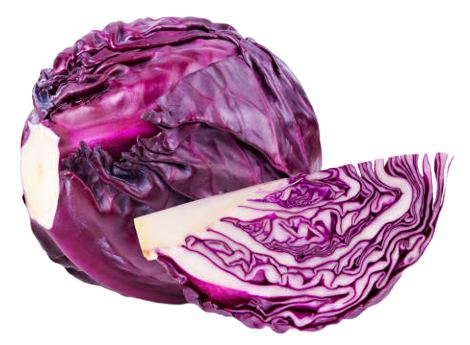 Red Cabbage