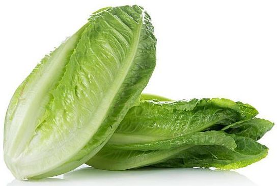 Romaine Lettuce