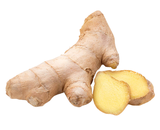 Root Ginger