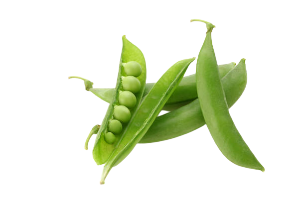 Sugar Snap Peas