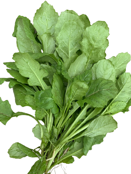 Wasabi Arugula