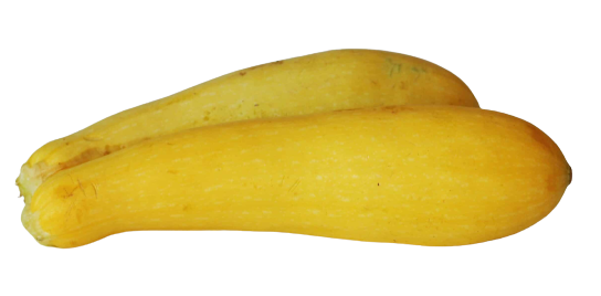 Yellow Squash