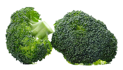 Crown Broccoli