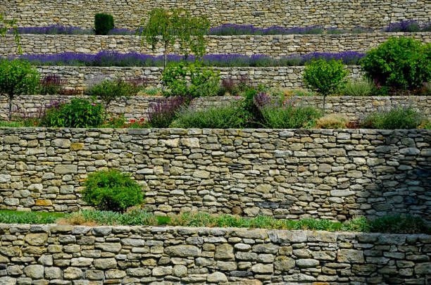 A stone wall surrounded by plants and trees in a garden.