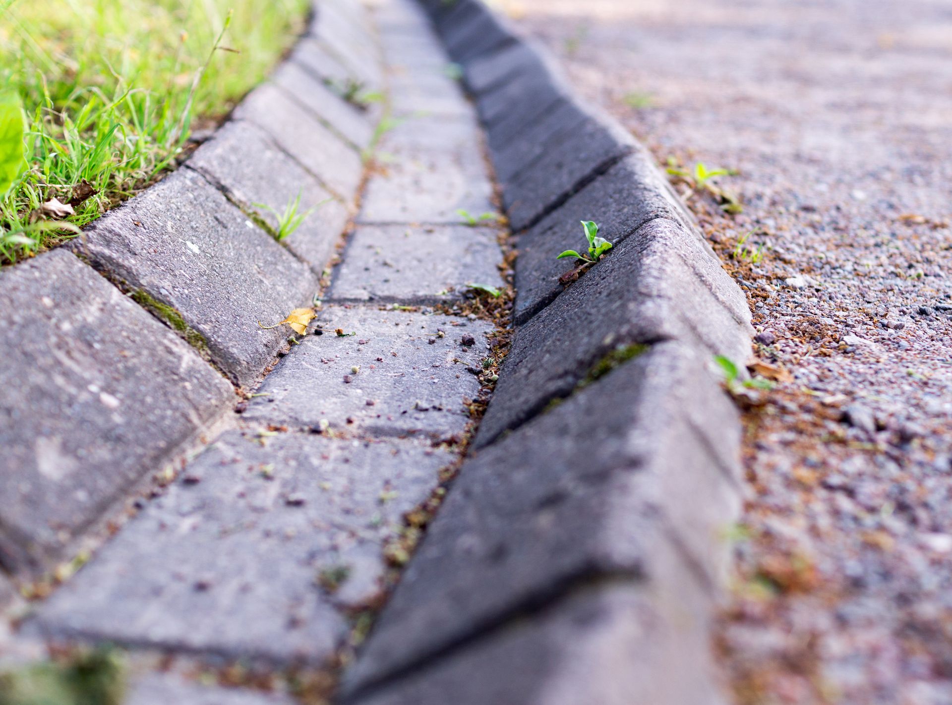 A close up of a brick curb on a sidewalk.