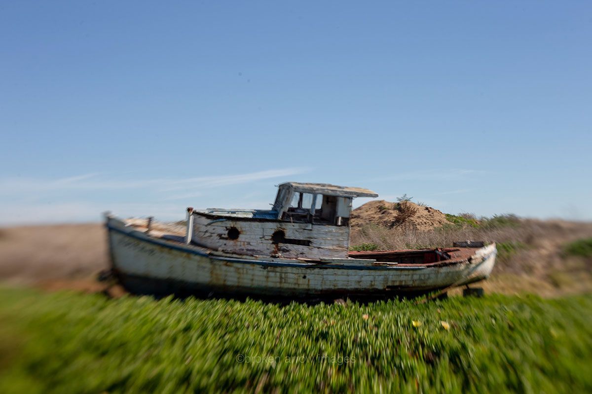 Dilapidated white boat on grassy shore against blue sky.
