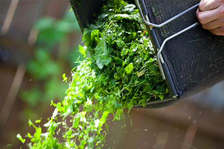 eco-friendly garden waste disposal