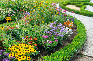 garden flowers