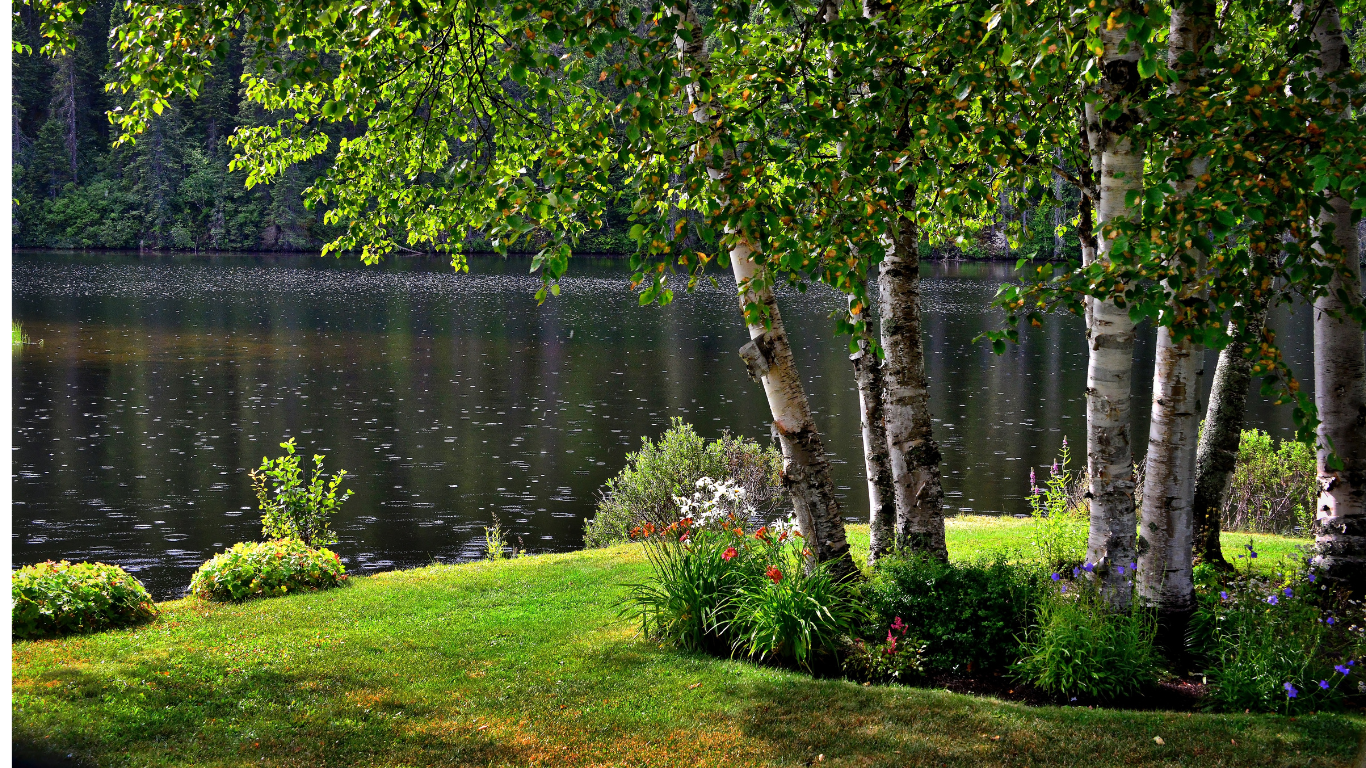 A lush green field with trees and bushes next to a lake.