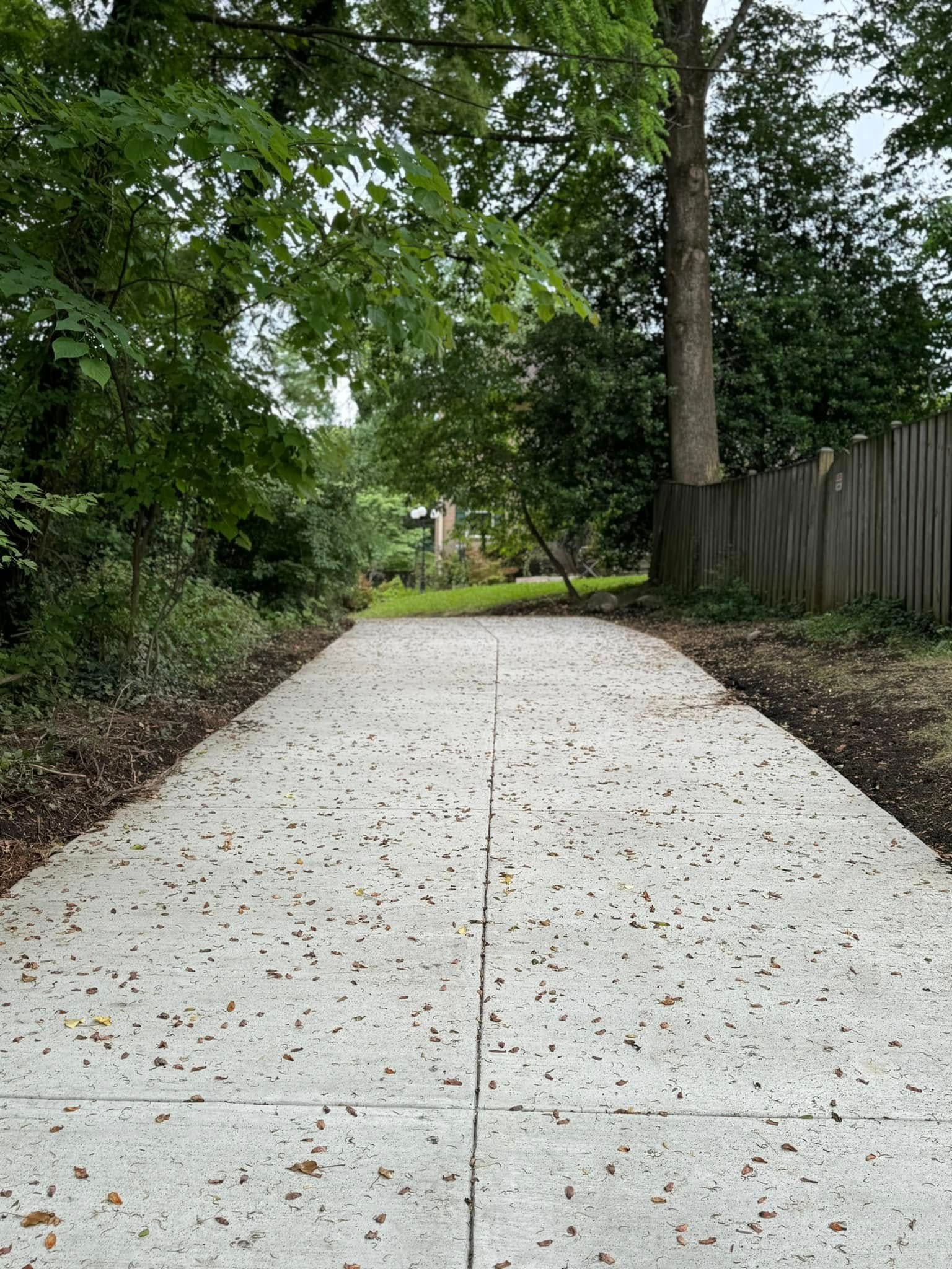 A concrete driveway leading to a house surrounded by trees.