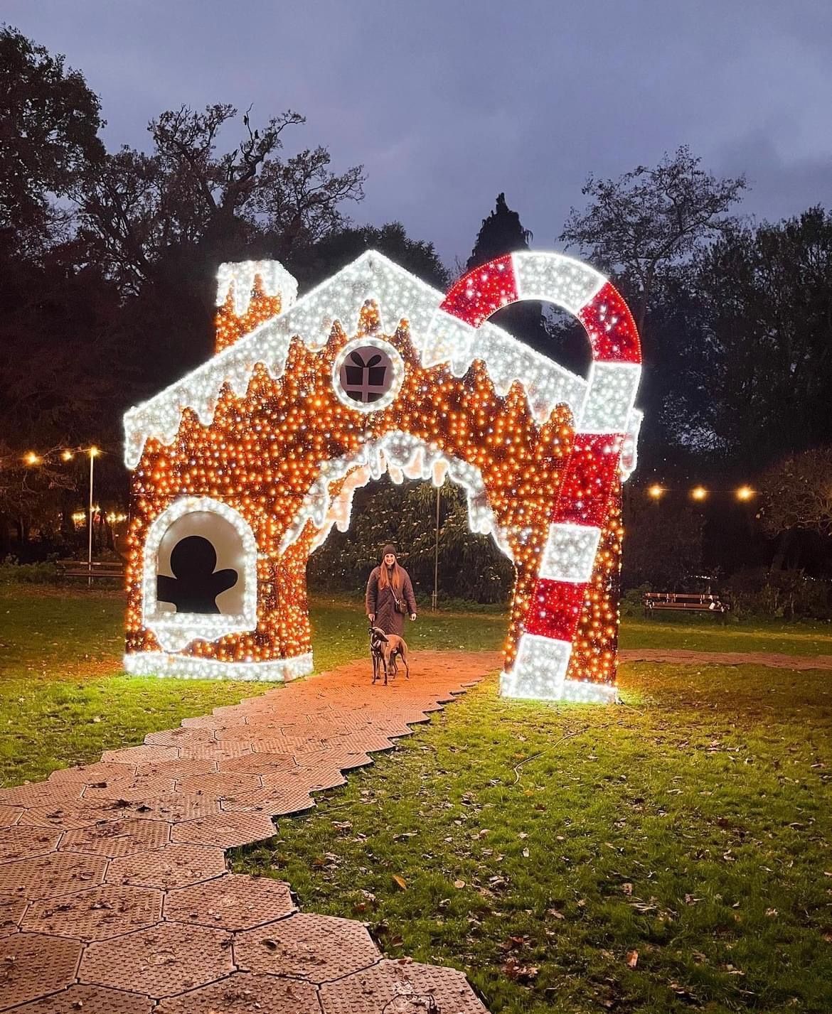 Pedestrian flooring for Christmas Light Trials
