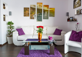 attractive living room with purple cushions and carpet