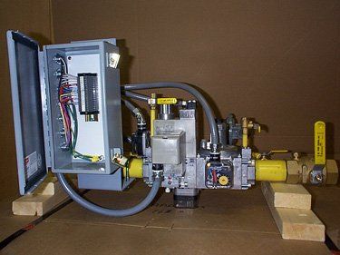 Dungs 2-inch Gas Valve Train