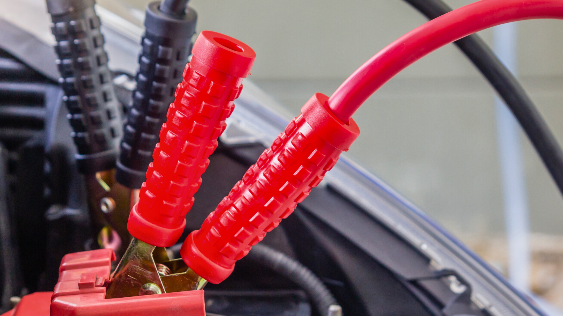 Red and black jumper cables attached to a car battery terminal.