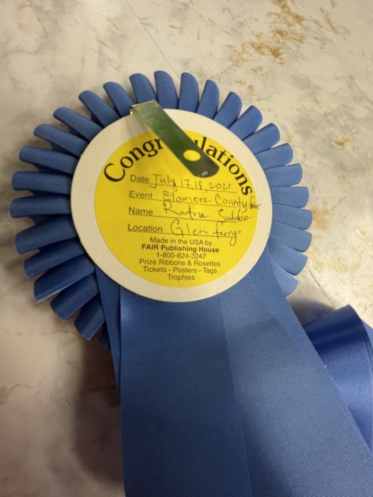 Blue award ribbon with a circular center that reads 