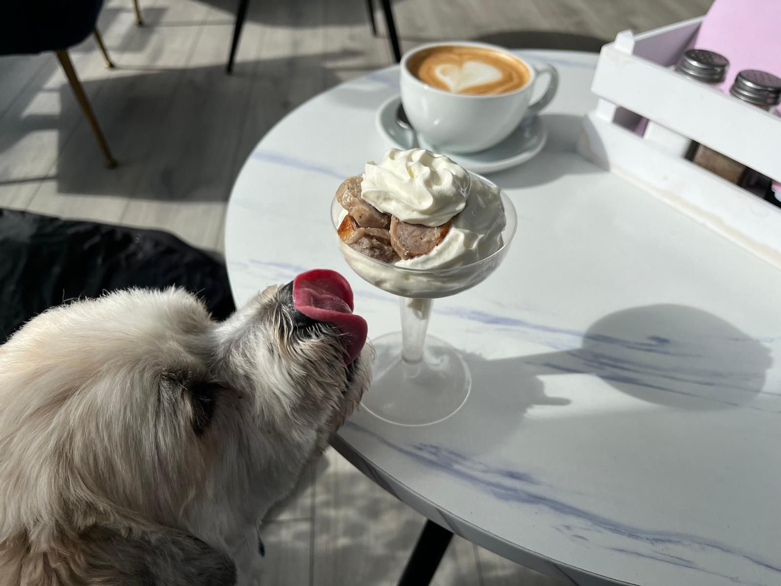 Dog‑friendly cafés in Portsmouth