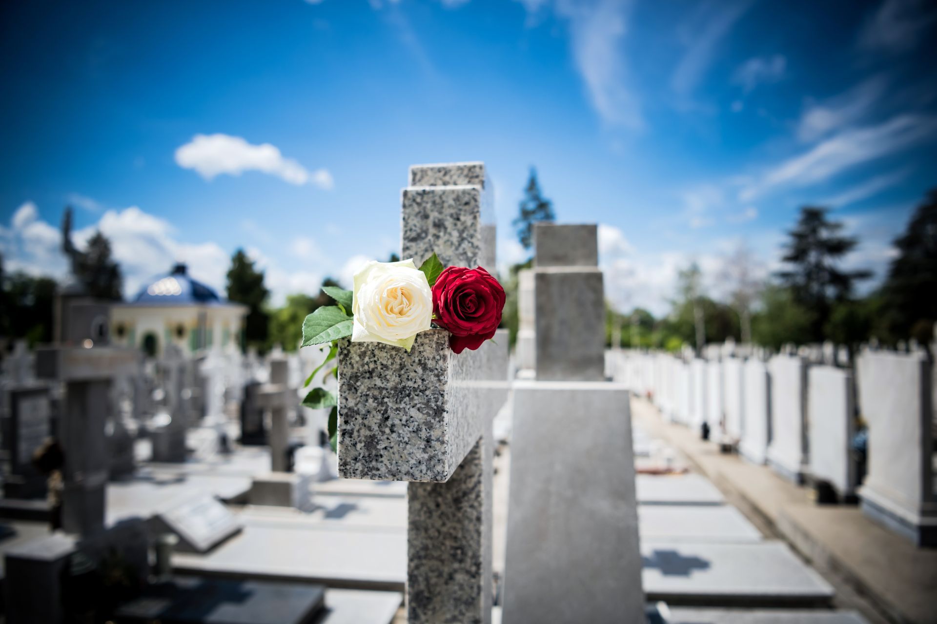 Servizi Offerti dalla casa funeraria