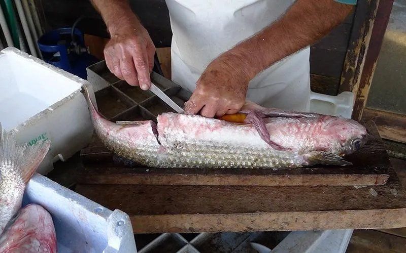 uova di tonno per bottarga