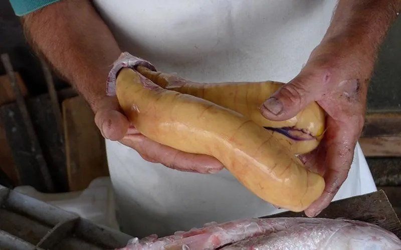 bottarga di tonno secca