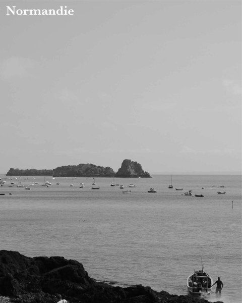 ostriche della Normandia