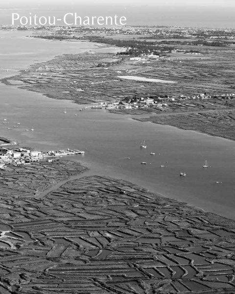 zona di allevamento ostriche