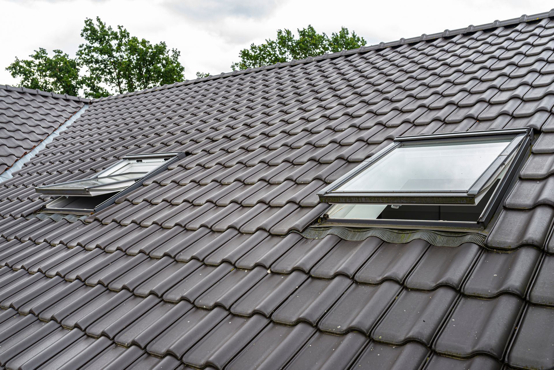 Dark brown tiled roof with two skylights.