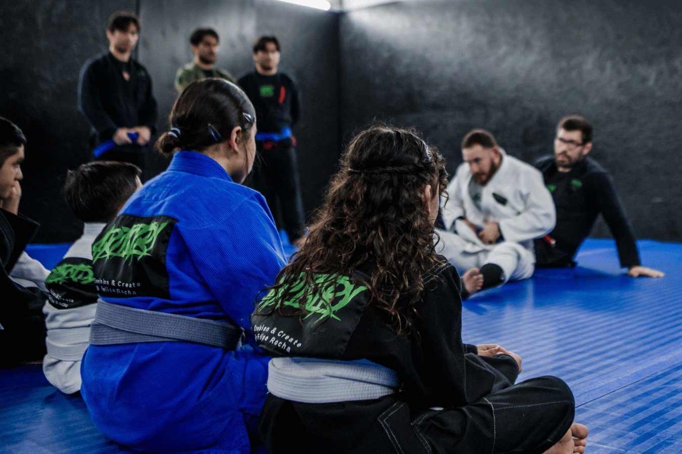 Artistry BJJ