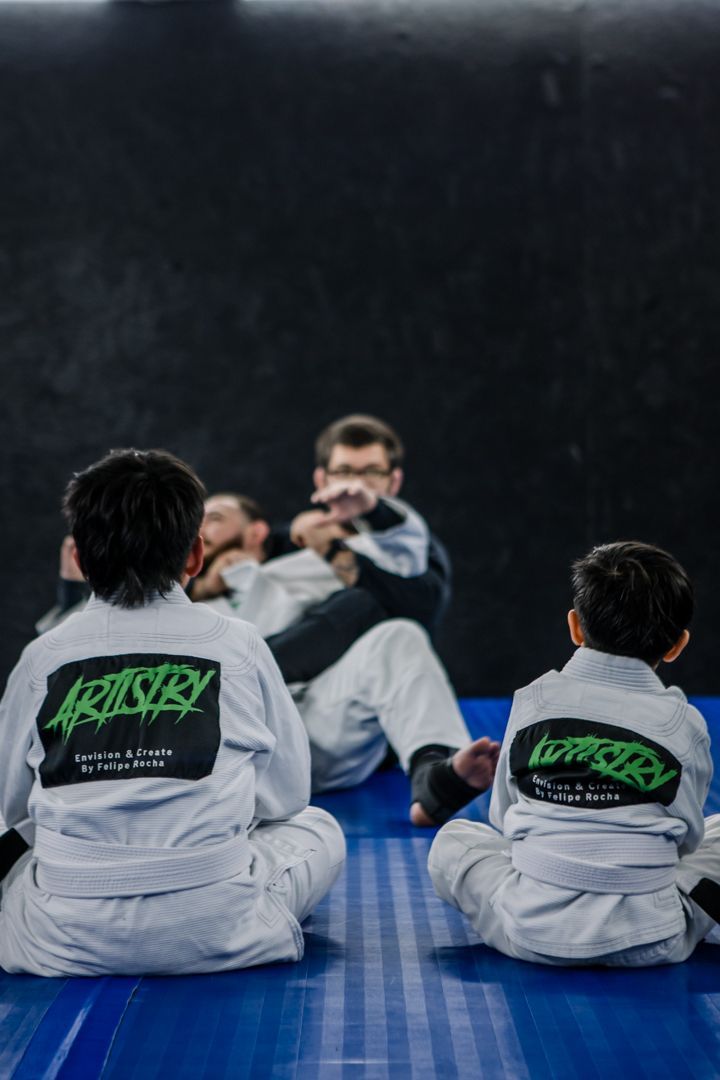 Artistry BJJ