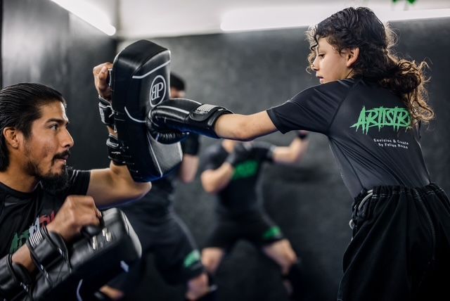 Artistry BJJ