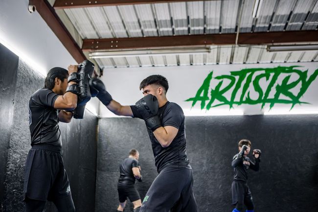 Artistry BJJ