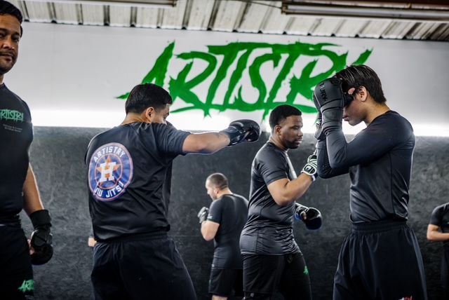 Artistry BJJ