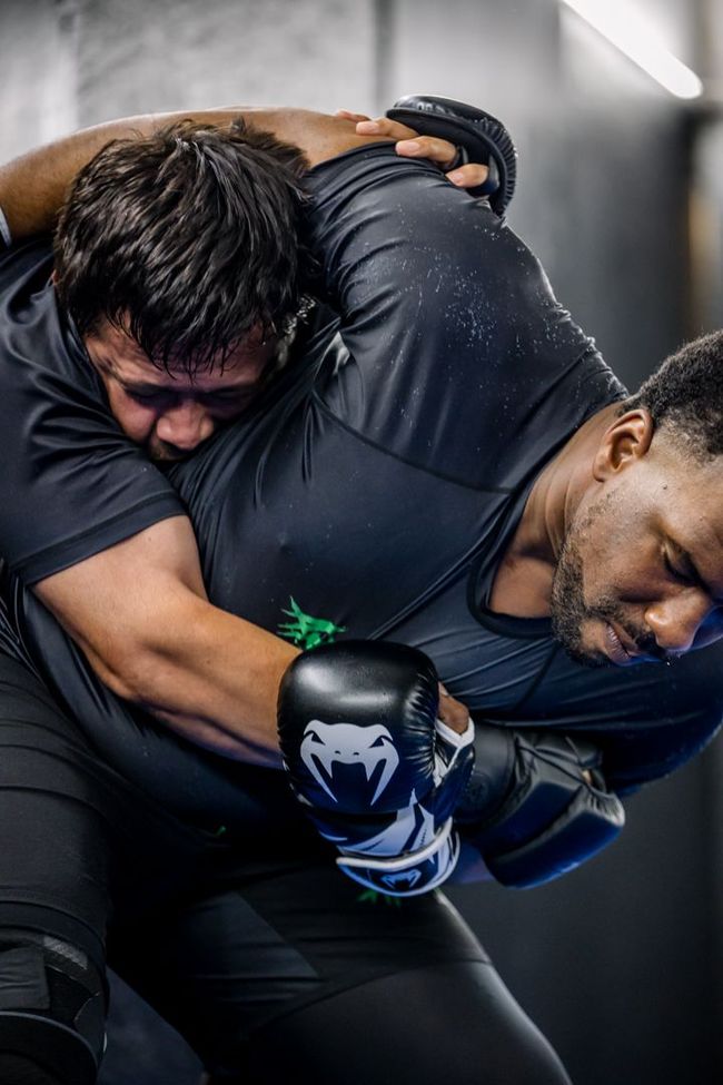 Artistry BJJ