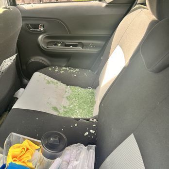 The back seat of a car has a lot of trash on it