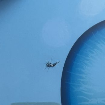 A close up of a spider on a blue surface.