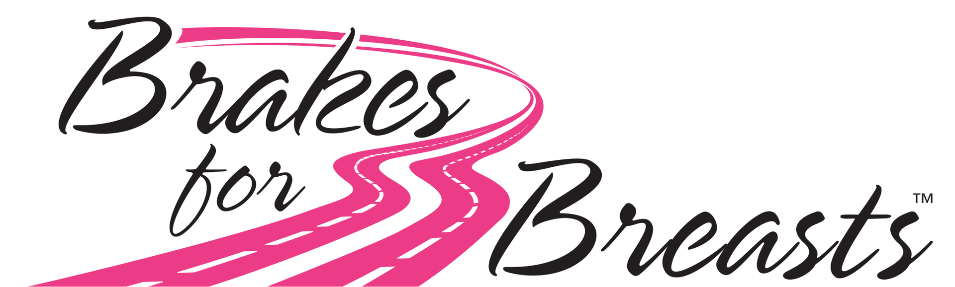 Brakes for Breasts Logo