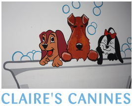 Claire's Canines logo