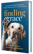 Book cover for 