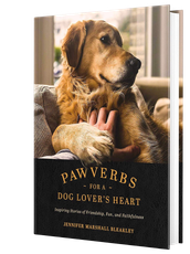 Book cover featuring a brown dog with the title “Pawverbs: Dog Lover’s Heart”