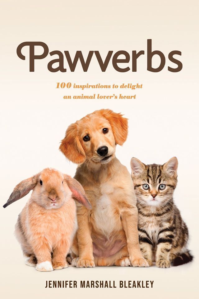 Book cover with three pets: a rabbit, golden puppy, and tabby cat under the title “Pawverbs”