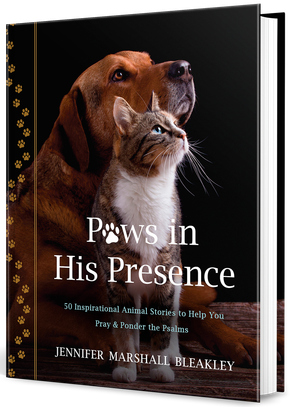 Book cover with a dog and cat titled “Paws in His Presence” on a black background