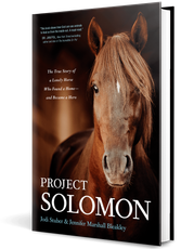 Book cover with a close-up brown horse and the title “Project Solomon” on a dark background