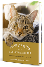 Cat on a gold book cover, titled “Pawverbs: Cat Quotes for the Heart.”