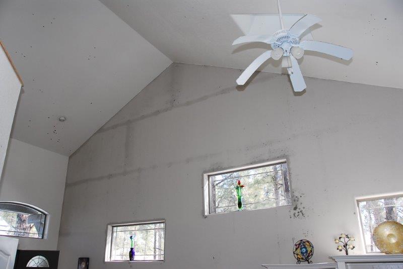 Flood Damage Repair — White Ceiling with Mold in Flagstaff, AZ