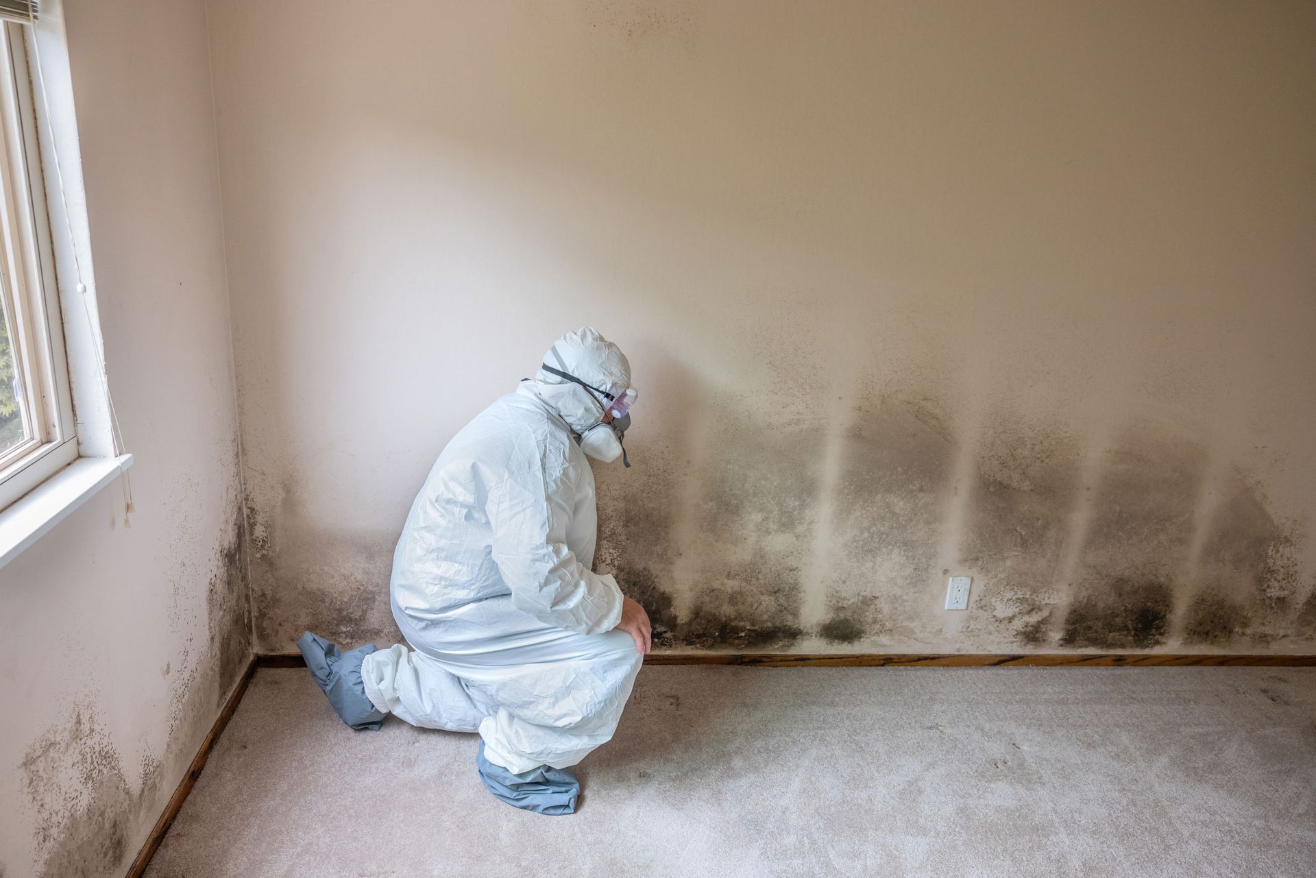 A man is inspecting a home with mold.