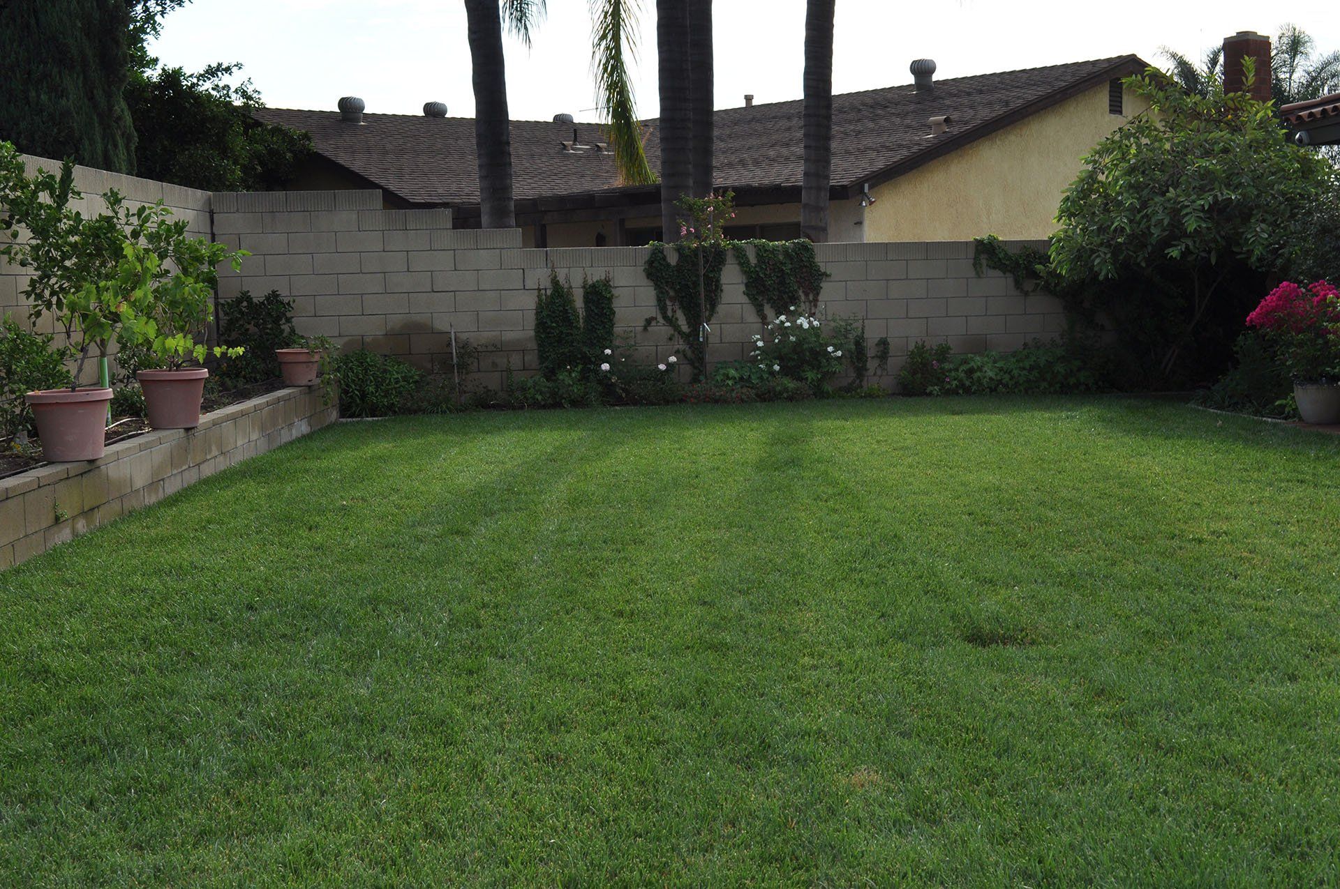 House With Green Grass Outside — Mira Loma, CA — Sneve Bobcat Service