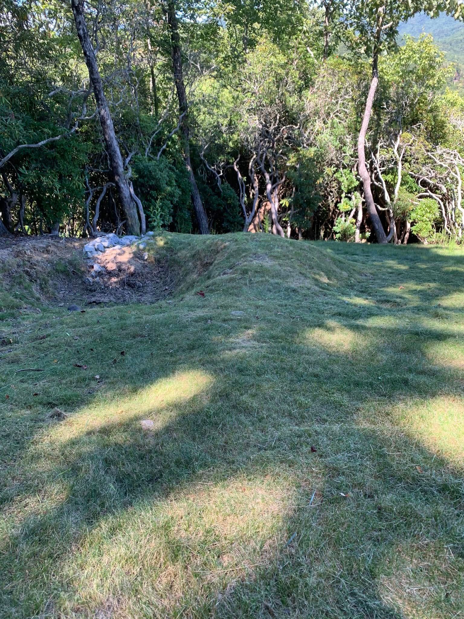 A grassy clearing at the edge of a dense, sunlit forest with a small pile of debris on the left.