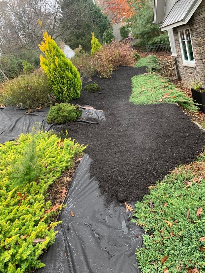 A garden bed partially covered with dark mulch and black landscape fabric, surrounded by various shrubs and a stone house.