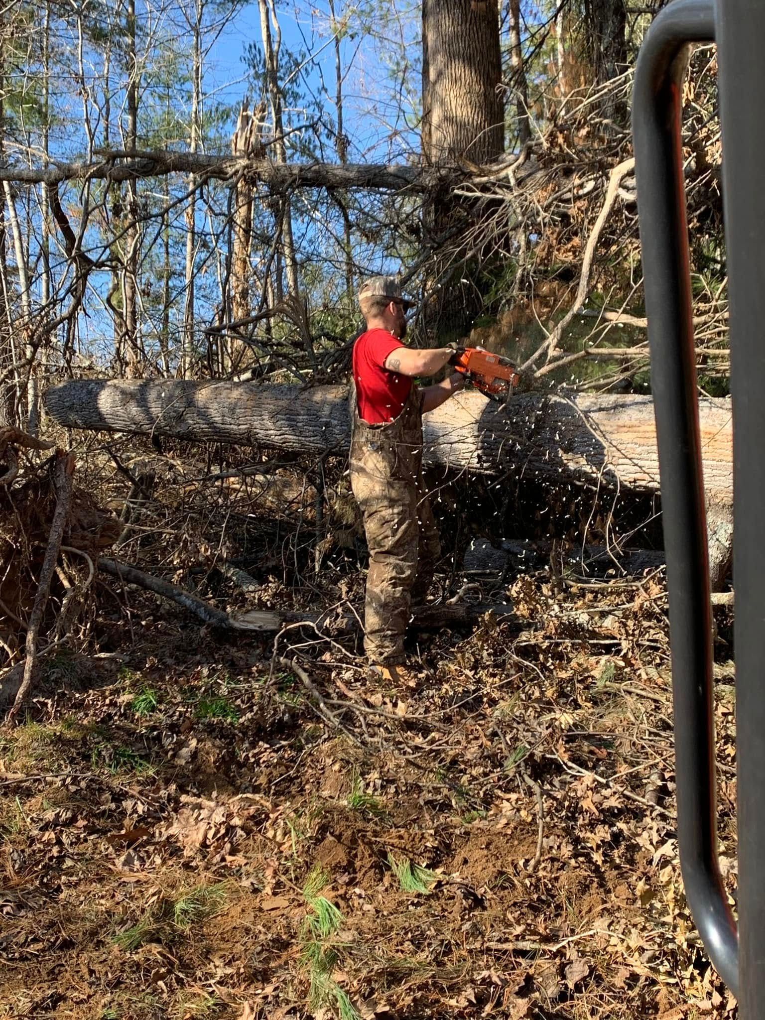 A person in a red shirt and camouflage overalls uses a chainsaw to cut a fallen tree in a sunny, wooded area.